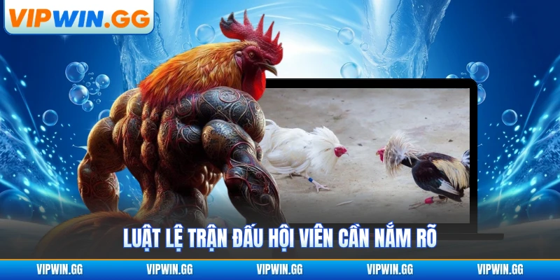 Luật lệ trận đấu hội viên cần nắm rõ