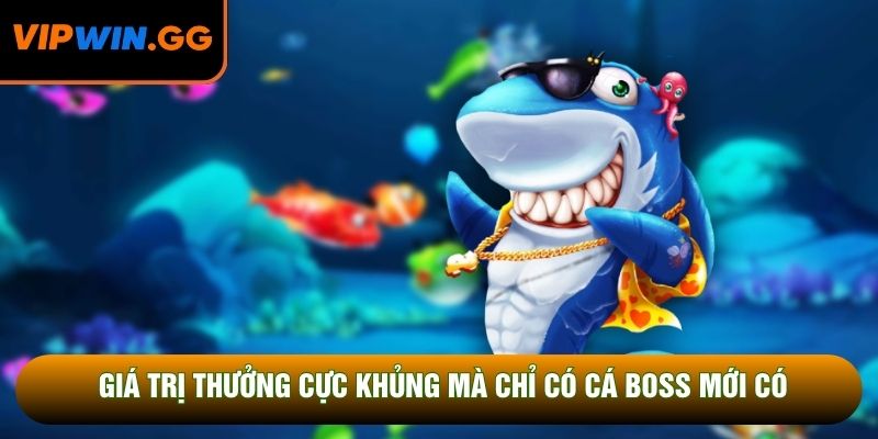 Giá trị thưởng cực khủng mà chỉ có cá boss mới có