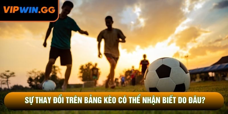 Sự thay đổi trên bảng kèo có thể nhận biết do đâu?