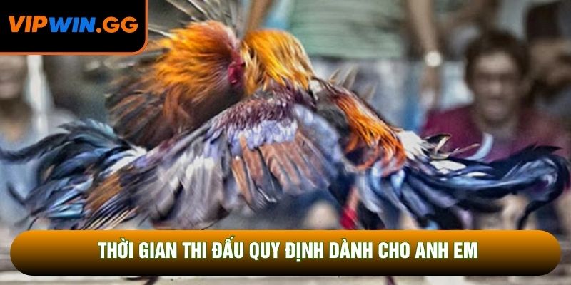 Thời gian thi đấu quy định dành cho anh em